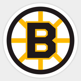 Boston-City Sticker